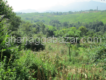 Farm House/Land on Sale at Bungmati